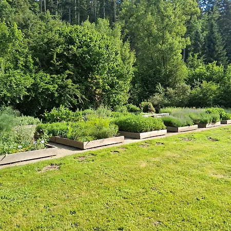 An Der Klosterruine Mit Kostenfreien Parkplatz Und Wlan *