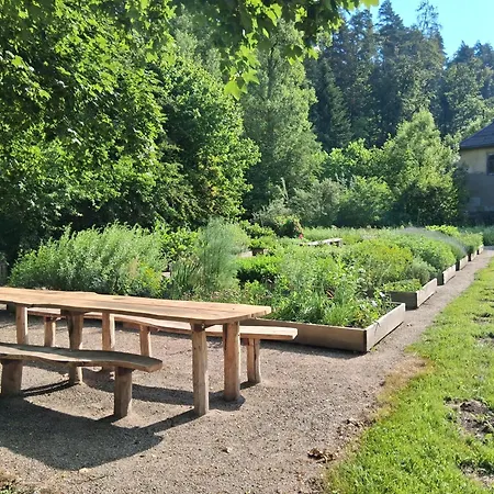 An Der Klosterruine Mit Kostenfreien Parkplatz Und Wlan شقة *